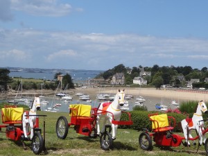 des petits chevaux qui n'attendent que leur jockey