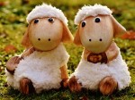 2 petits agneaux ingénus